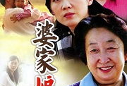 娘家电视剧,情感纠葛与家庭纷争的悲欢离合